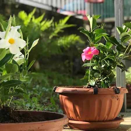 It Easy Mandello Feriehus Mandello del Lario