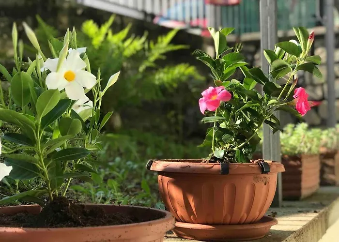 It Easy Mandello Feriehus Mandello del Lario